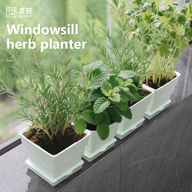Indoor Herb Garden Kit - Meshpot Donica na zielonych roślinach na