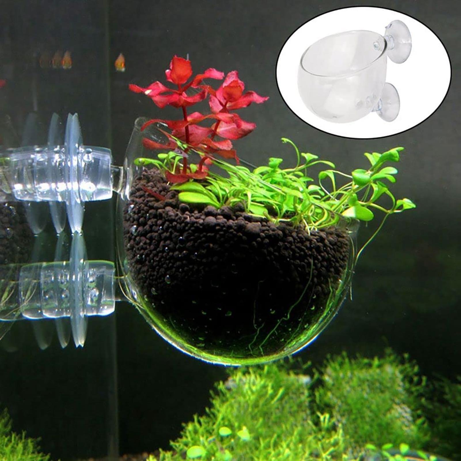 Hydroponic Grow Pod - Akrylowa doniczka na rośliny wodne z