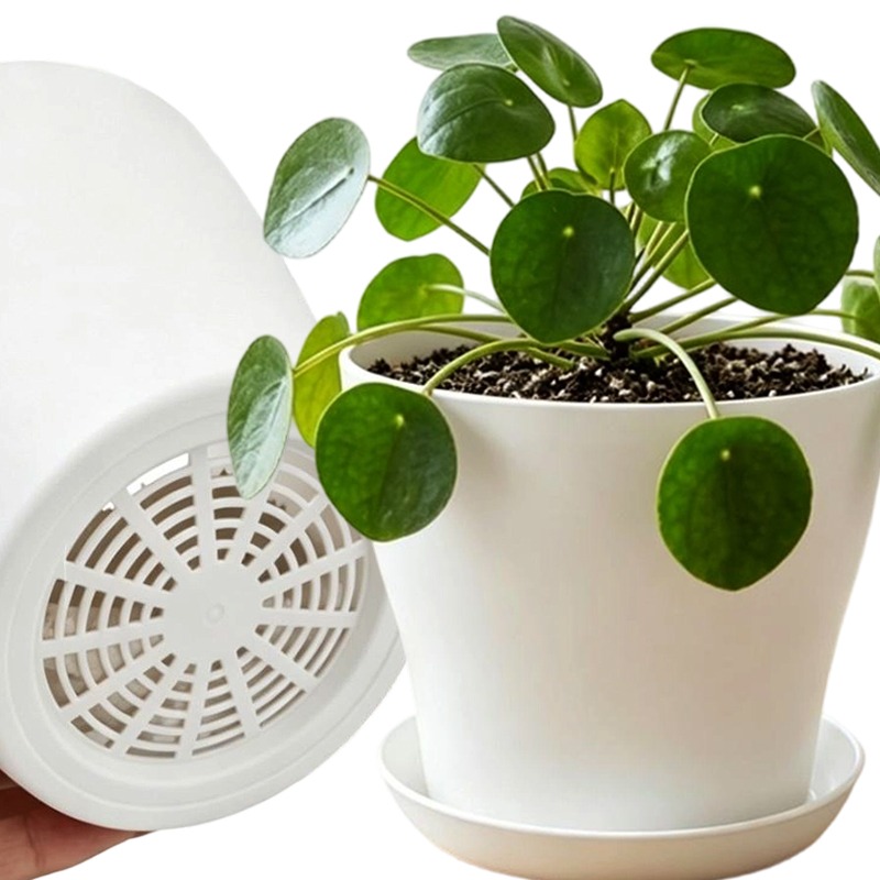 Indoor Herb Garden Kit - Zestaw doniczek z otworami drenażowymi i