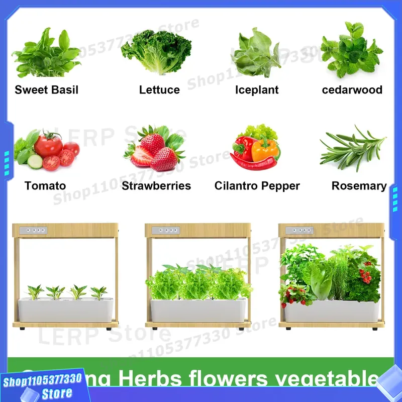 Zestaw do inteligentnego ogrod – Indoor Herb Garden Kit recenzja i cena
