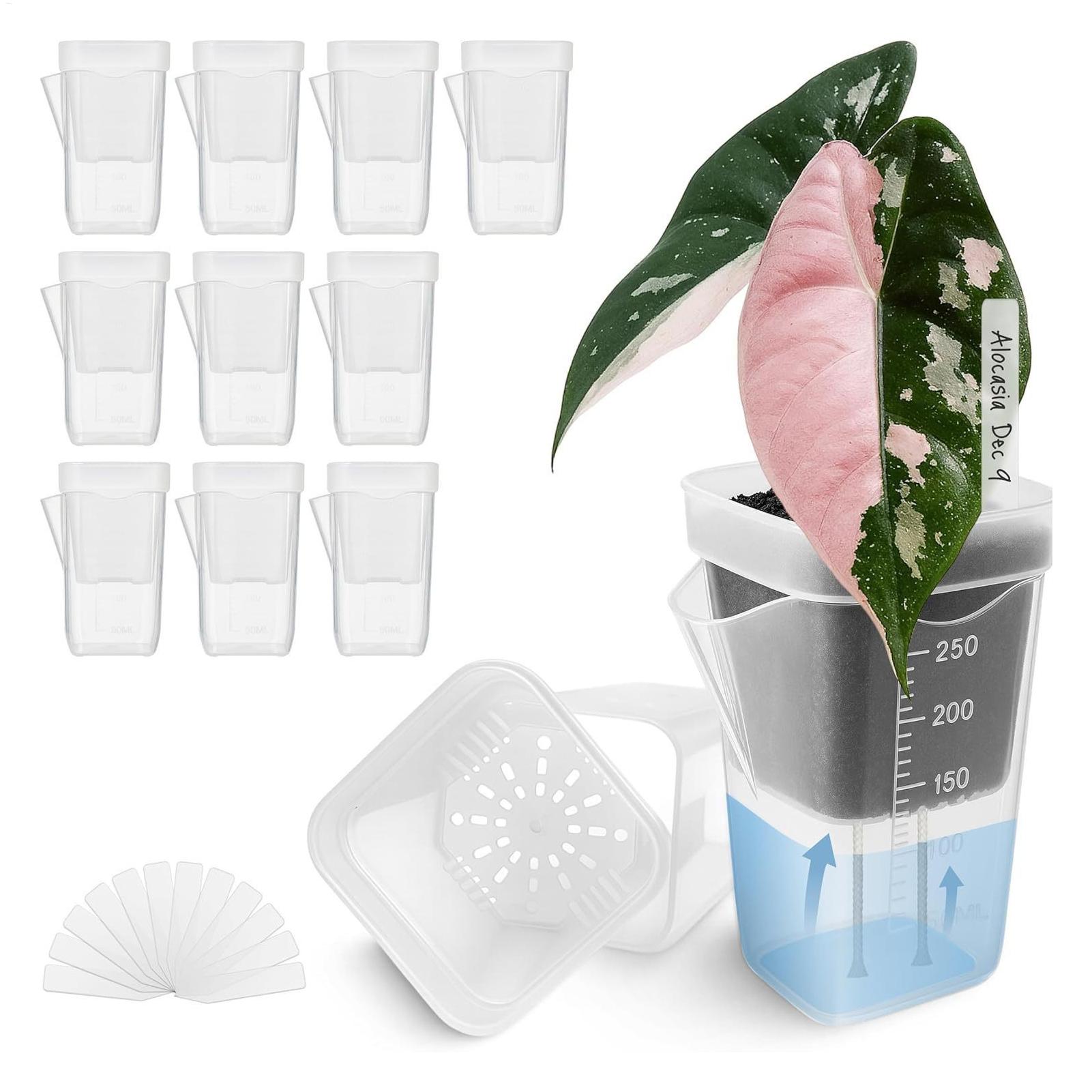 10 sztuk przezroczystych donic – Hydroponic Grow Pod recenzja i cena