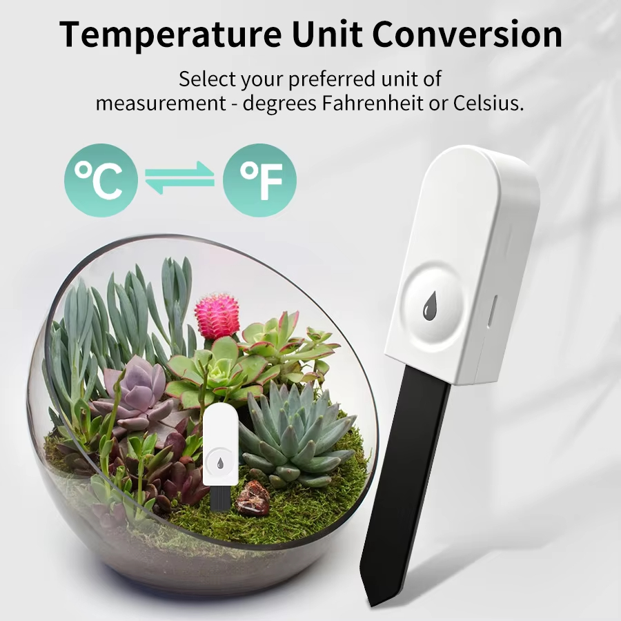 Wielofunkcyjny tester gleby Zi – Smart Garden Outdoor recenzja i cena