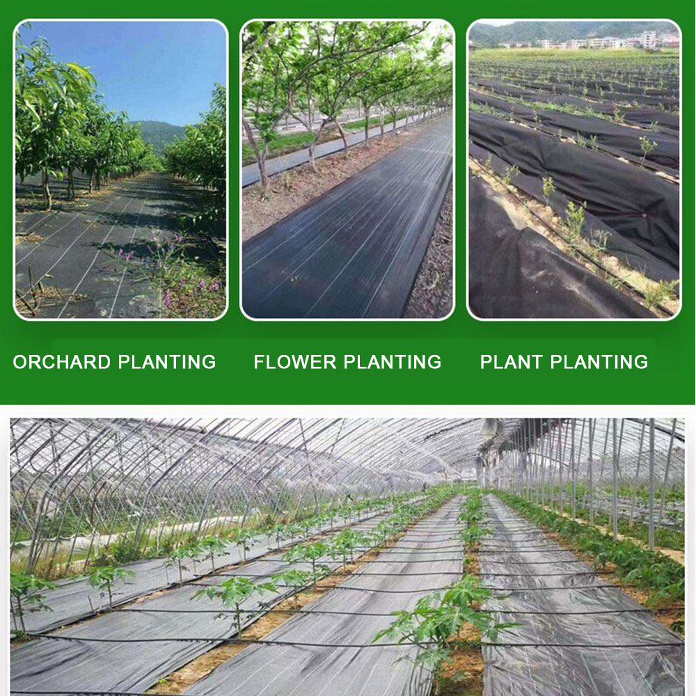 16.4ft/32.8ft PE Woven Weed Co – Smart Garden Greenhouse recenzja i cena