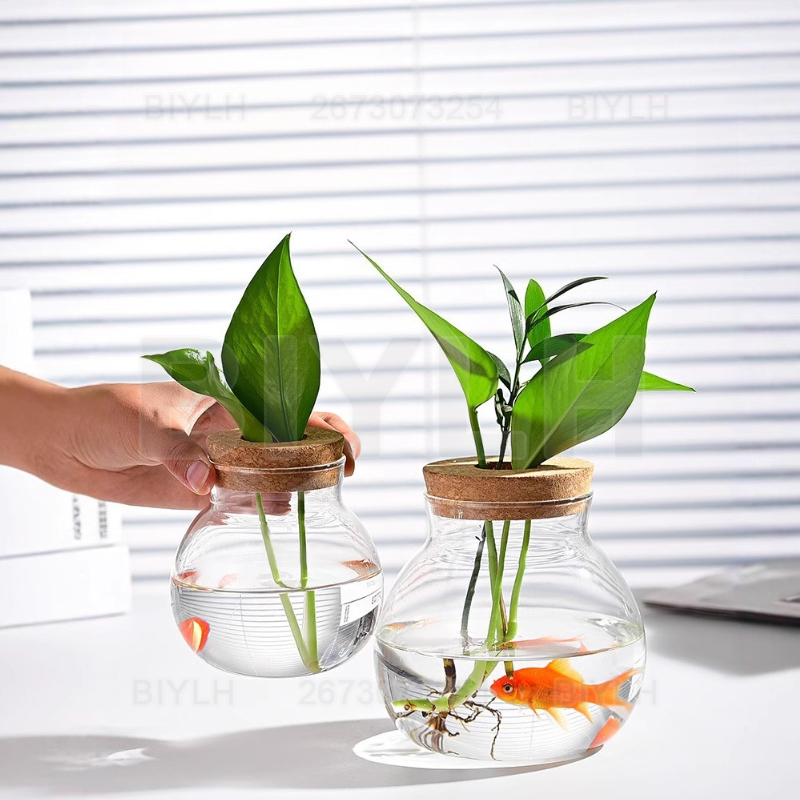Szklany wazon hydroponiczny z  – Hydroponic Grow Pod recenzja i cena