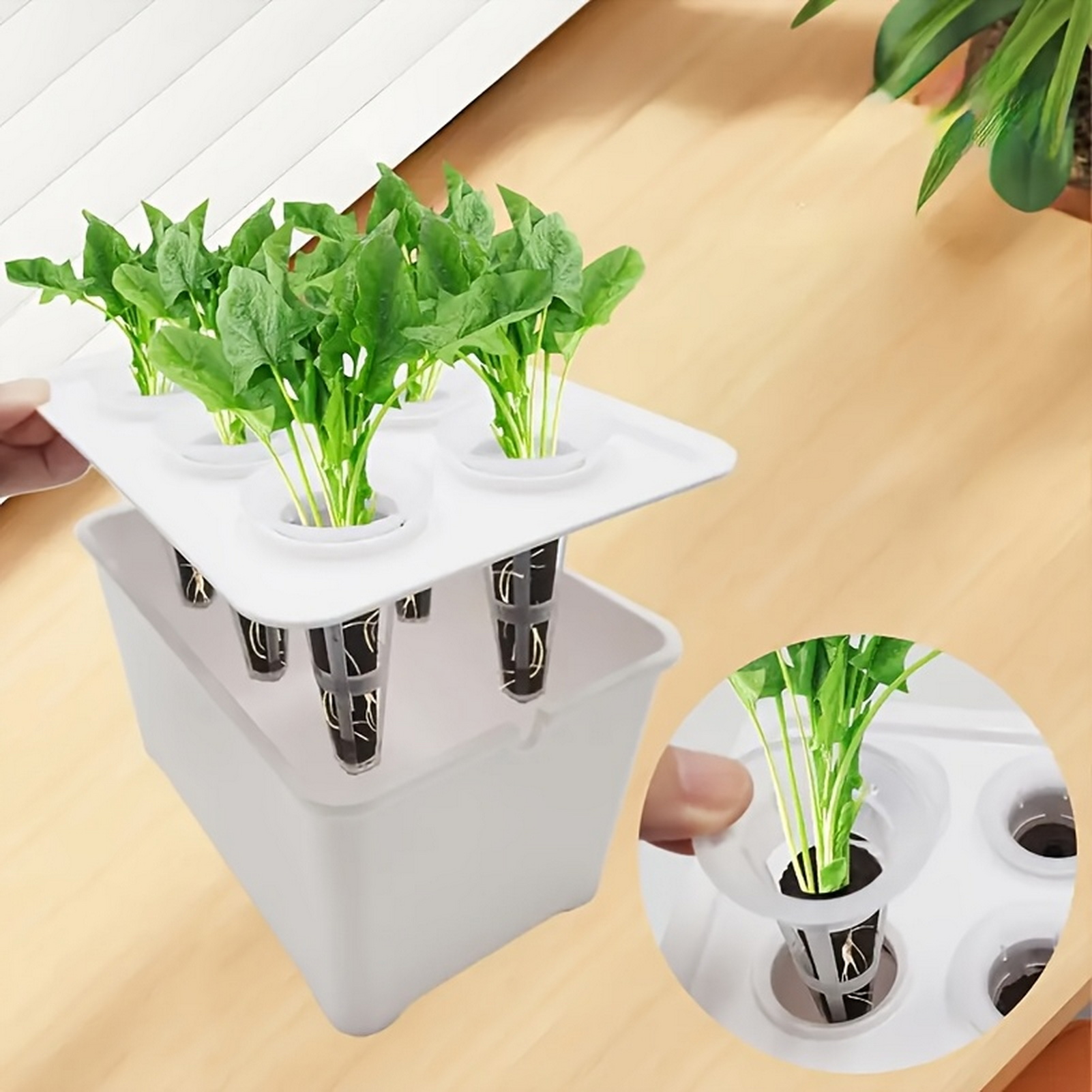 6 w 1 Hydroponiczne doniczki d – Indoor Herb Garden Kit recenzja i cena