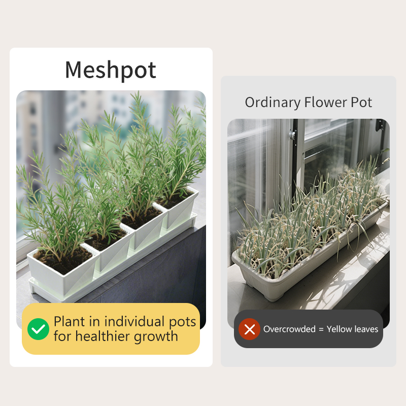 Meshpot Donica na zielonych ro – Indoor Herb Garden Kit recenzja i cena