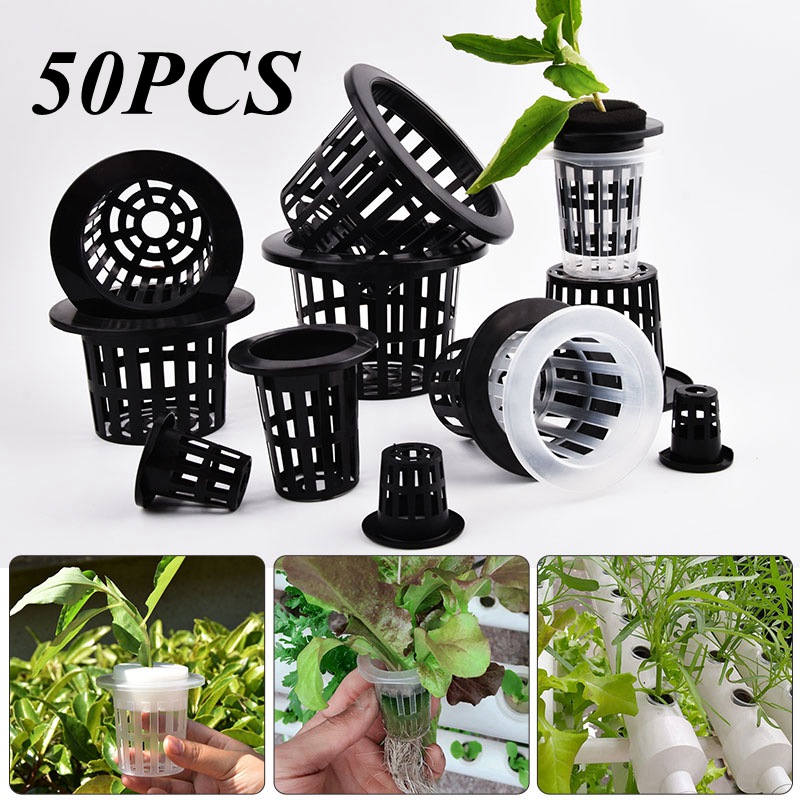 50 sztuk czarno-białych siatko – Hydroponic Grow Pod recenzja i cena