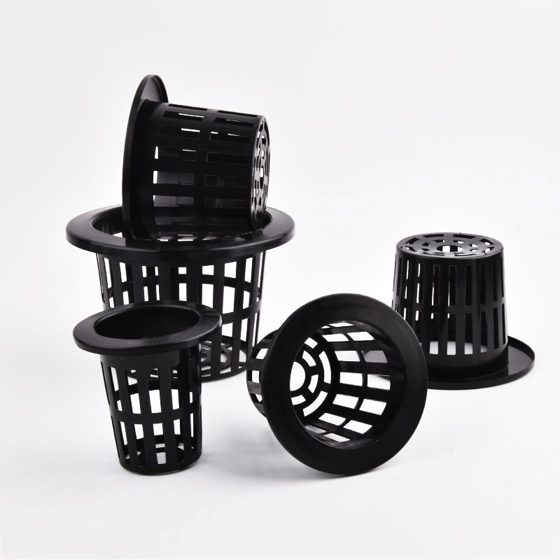 50 sztuk czarno-białych siatko – Hydroponic Grow Pod recenzja i cena