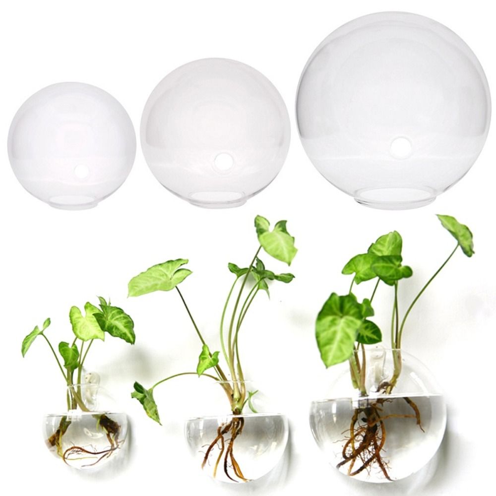 Przezroczyste szklany wazon wi – Hydroponic Grow Pod recenzja i cena