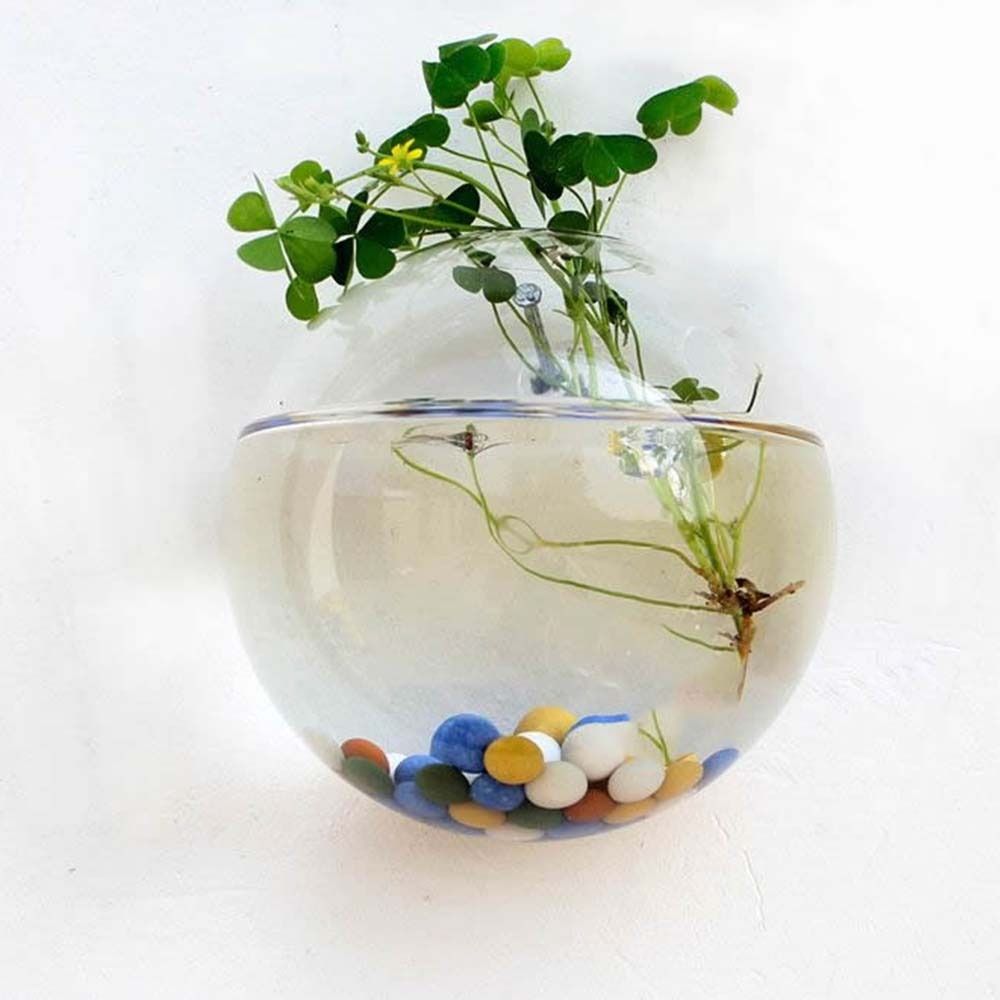 Przezroczyste szklany wazon wi – Hydroponic Grow Pod recenzja i cena