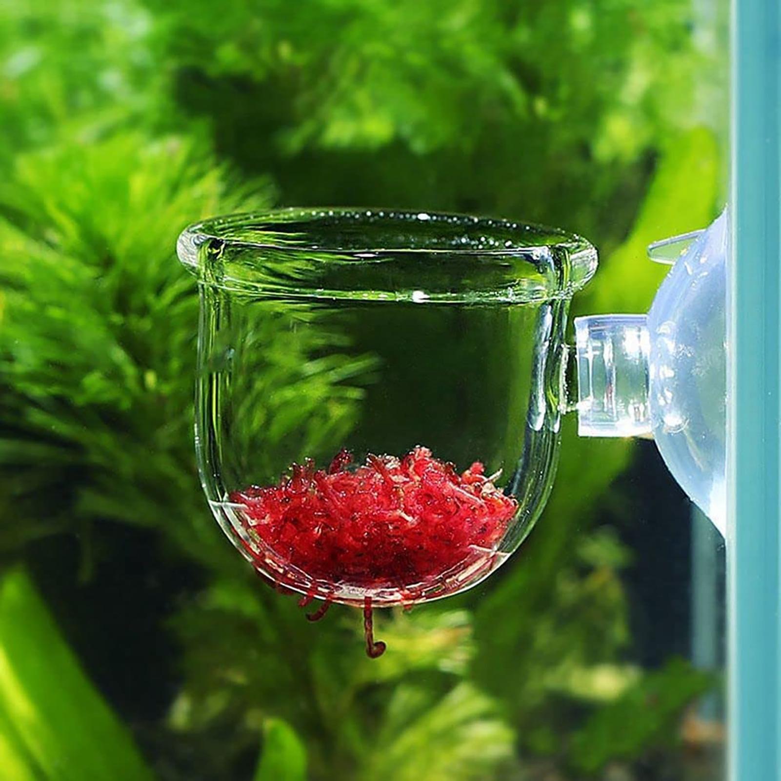 Akrylowa doniczka na rośliny w – Hydroponic Grow Pod recenzja i cena