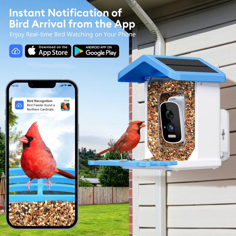 Inteligentny karmnik dla ptakó – Smart Garden Outdoor recenzja i cena