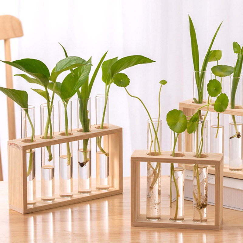 Hydroponiczny pojemnik na rośl – Hydroponic Grow Pod recenzja i cena