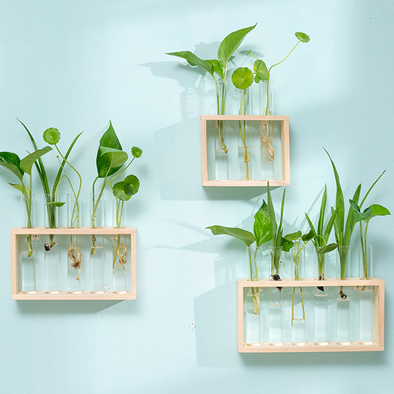 Hydroponiczny pojemnik na rośl – Hydroponic Grow Pod recenzja i cena