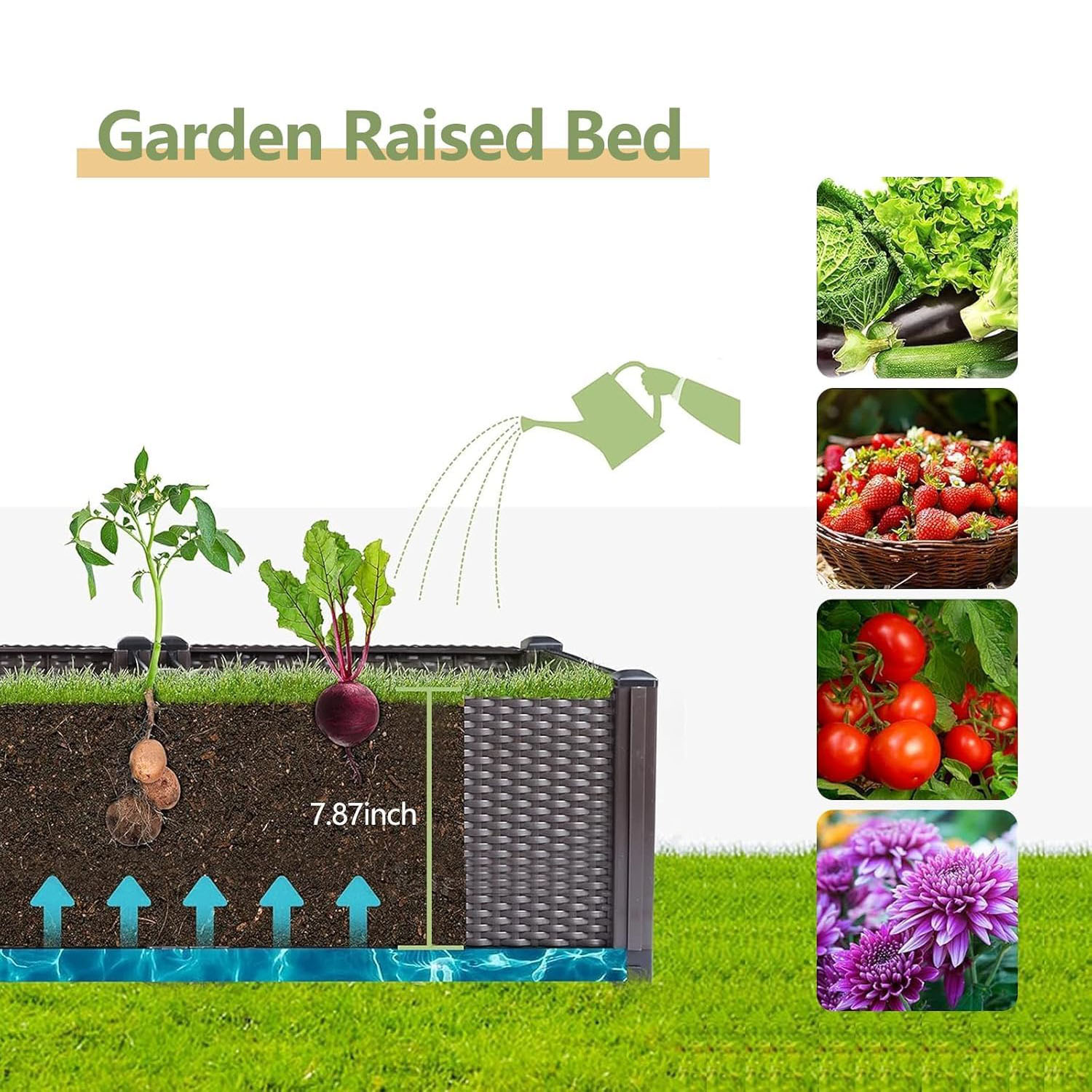 Samonawadniająca się podwyższo – Indoor Herb Garden Kit recenzja i cena