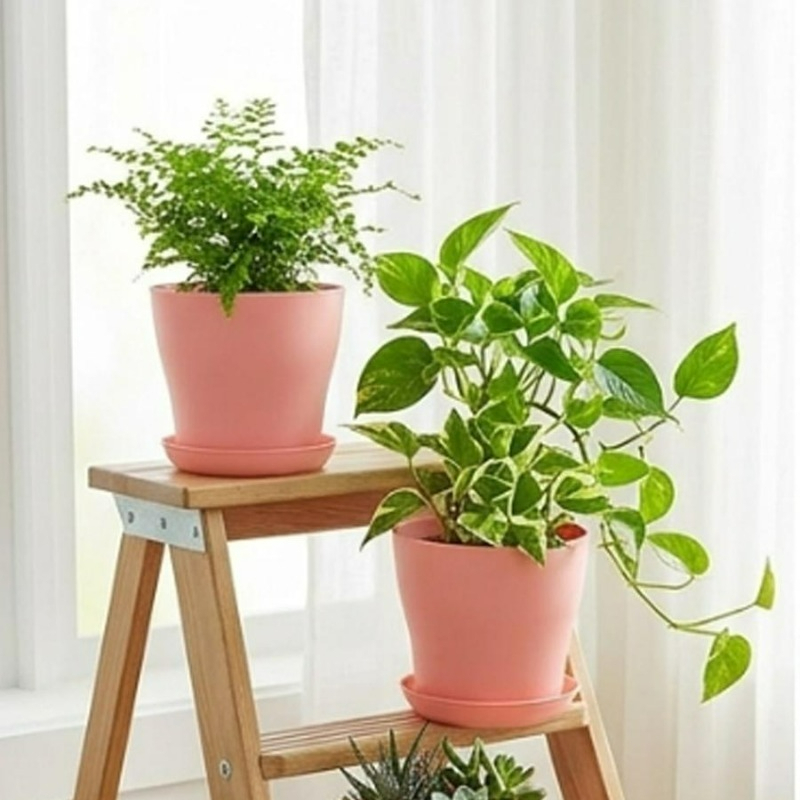 Zestaw doniczek z otworami dre – Indoor Herb Garden Kit recenzja i cena